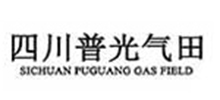 合作夥伴